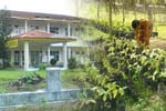 Regular Afternoon Program Nomor 9